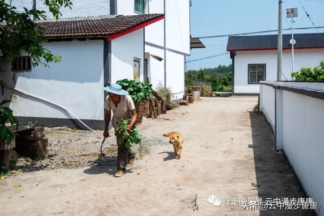 越江码头轮渡,越江轮渡在哪里