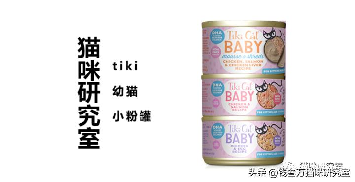 流浪猫幼猫主食罐推荐,幼猫主食罐推荐