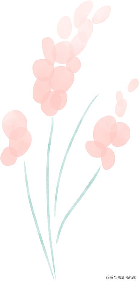 上海十大酒馆推荐,上海超有气氛居酒屋