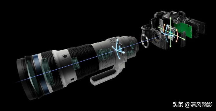 拍鸟买r5还是r6好,拍鸟买尼康