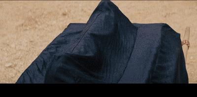 蛇穴缉凶完整版,蛇穴缉凶国语印度