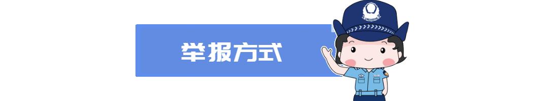 百日行动查手机,百日行动查什么