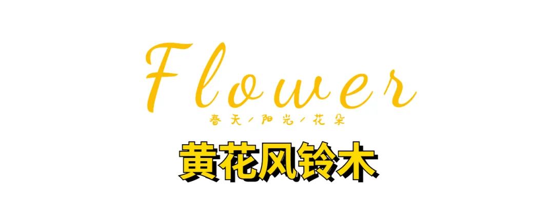 惠州拍照好看的推荐,惠州拍写真的地方推荐