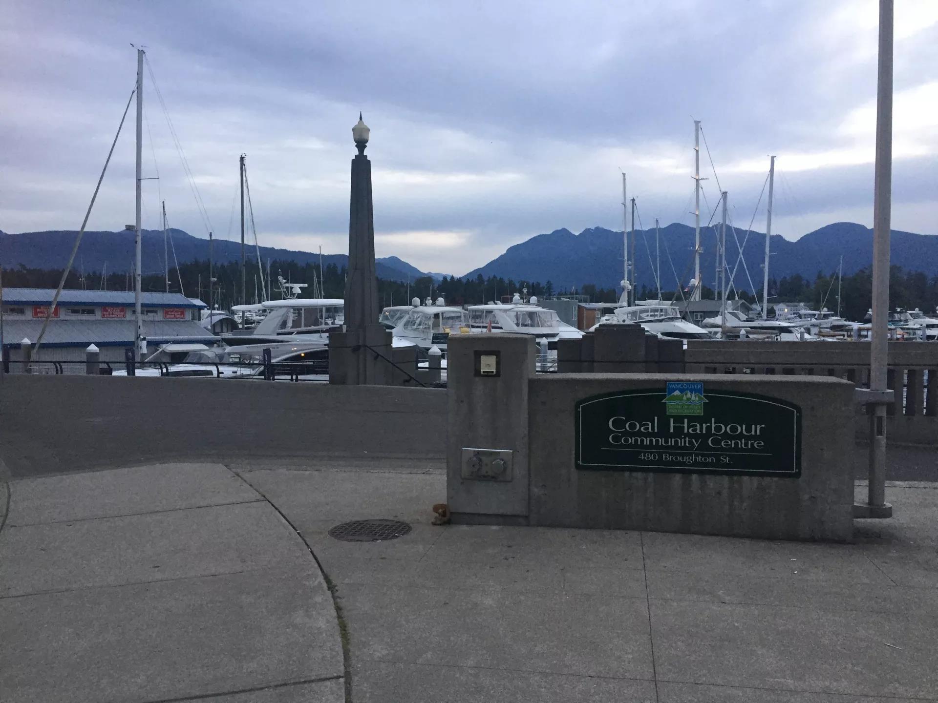 青岛如何带上猫猫去加拿大多伦多,钱猫猫加拿大之旅