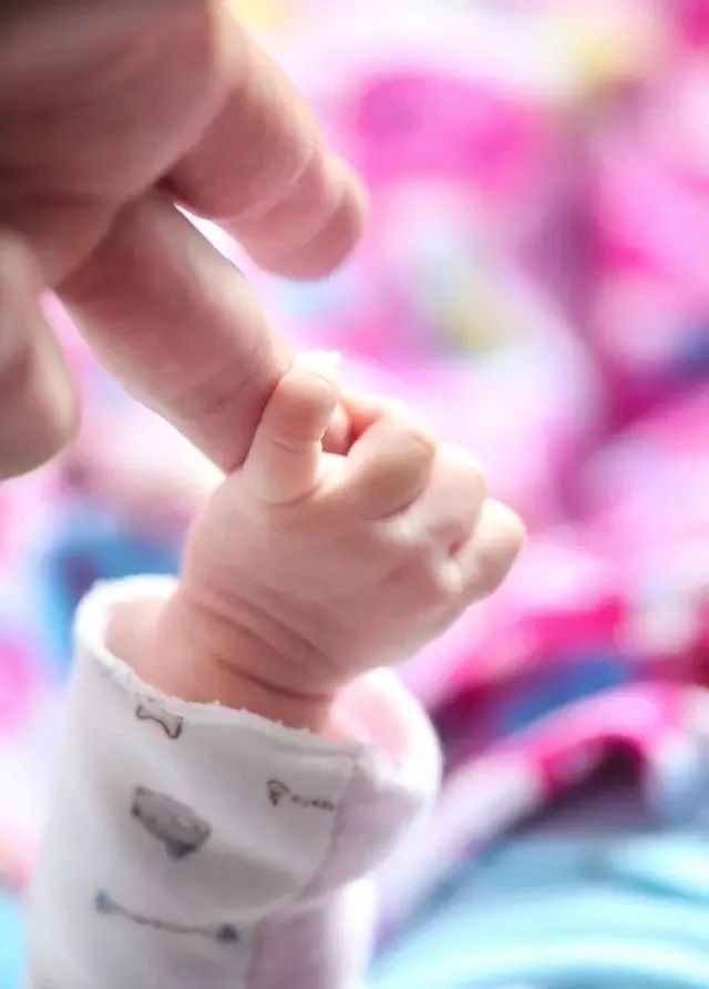 镜头里的故事电视剧,镜头里的故事完整版