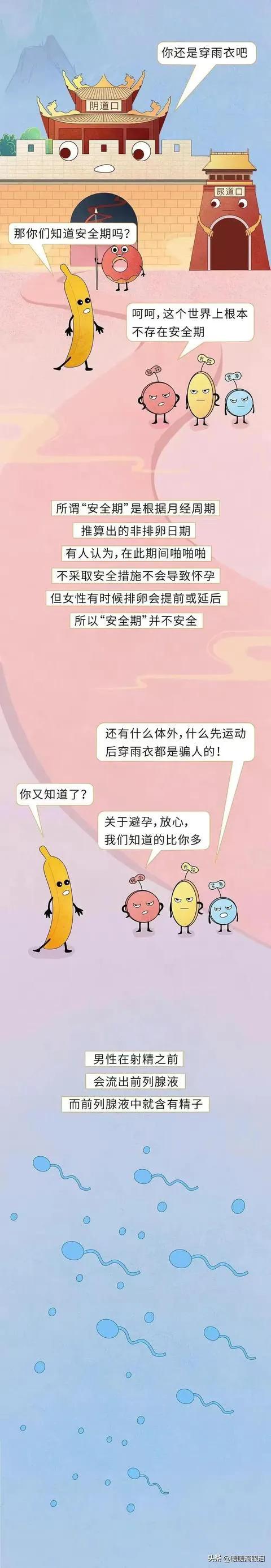 男女性知识科普,成人男性怎么了解性教育