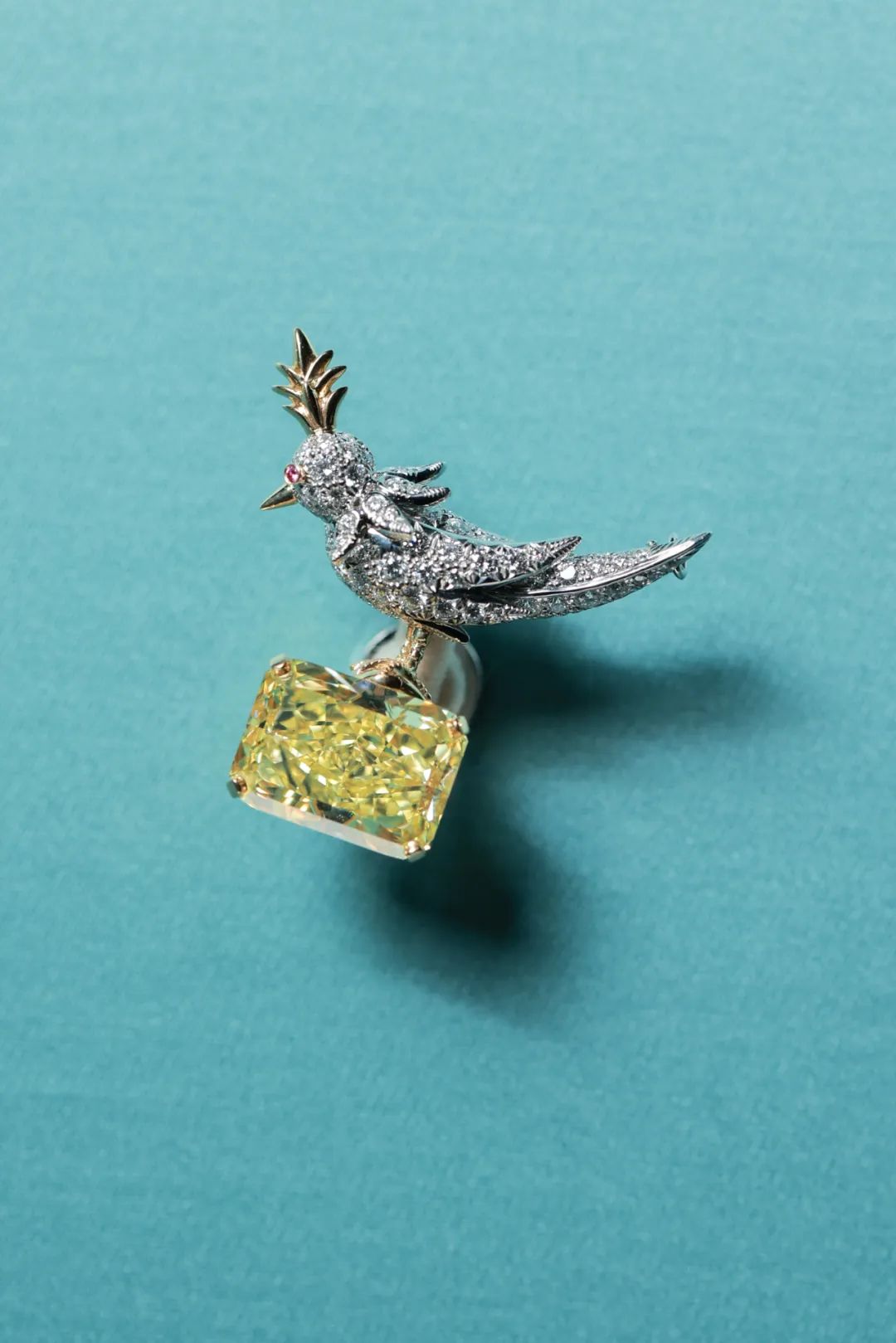 大品牌pk,各大品牌大pk