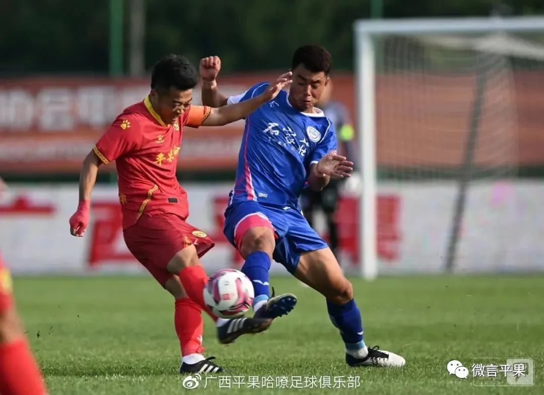 广西平果：开拓进取创新业砥砺前行展宏图