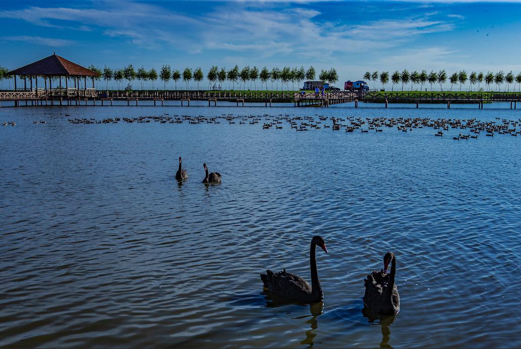 五一松原一日游,五一松原出发2-3天短途旅游