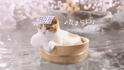 杭州附近泡温泉好去处推荐,杭州民宿推荐3-4人独立泡温泉