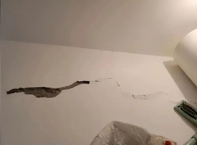 无知者无畏,健身房老板无知装修导致面临1.6亿赔偿