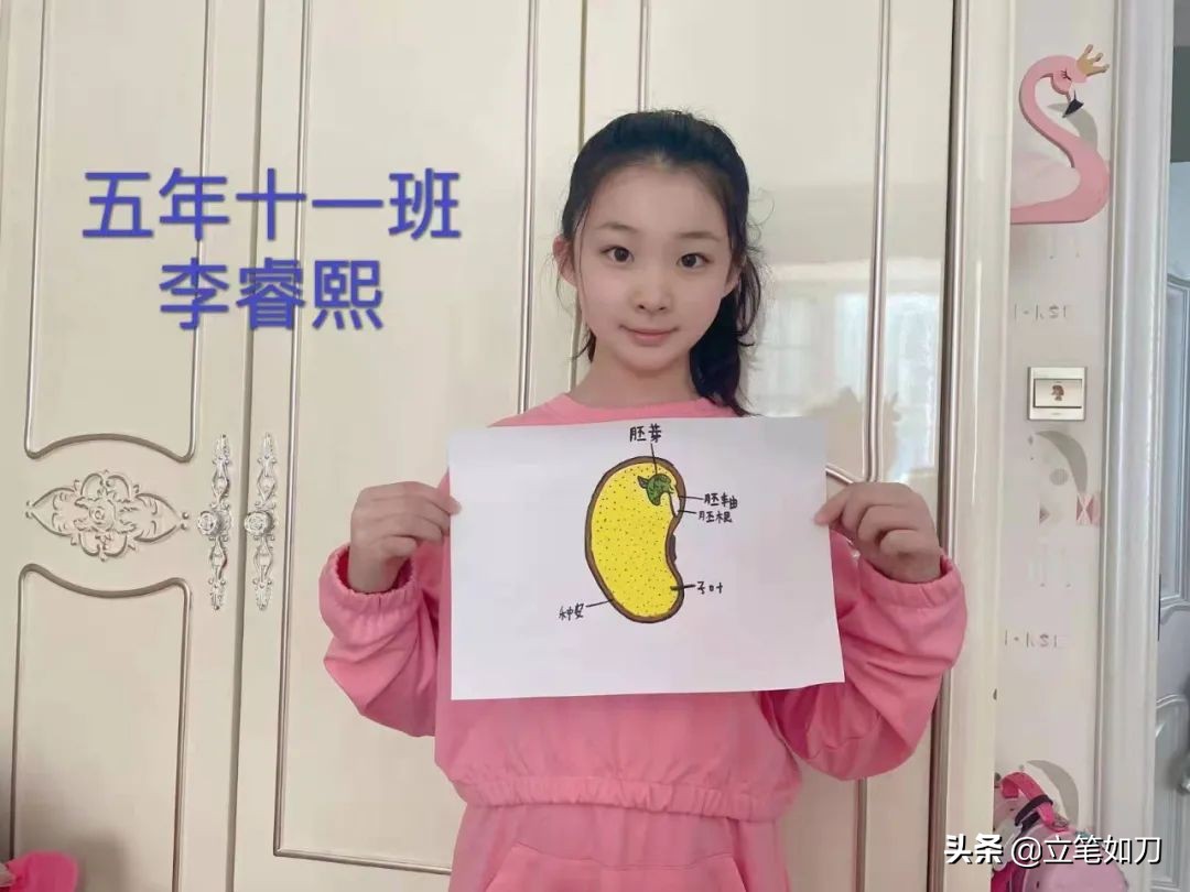 珠江五校滦河校区教育集团,珠江五校教育集团阅读文化节