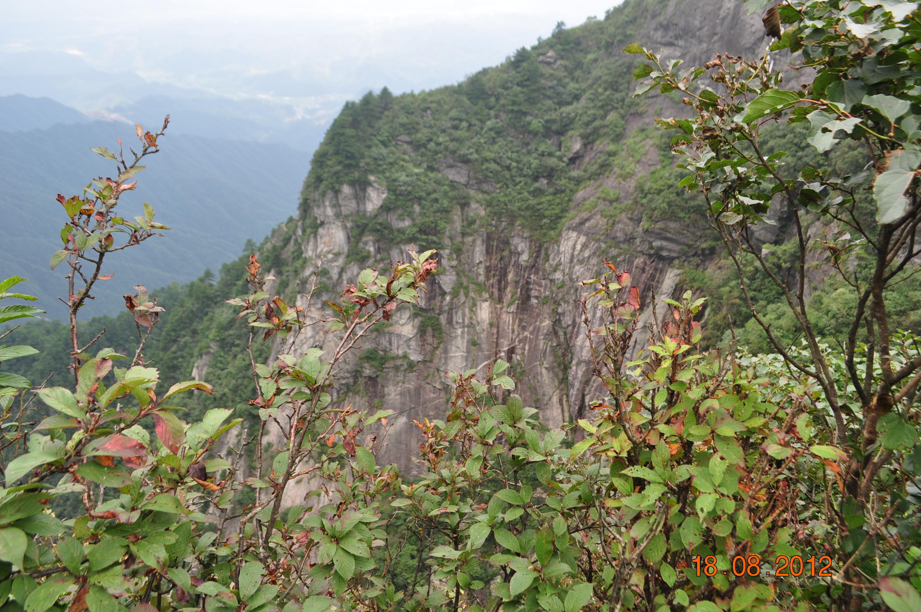 寻访先祖遗踪——中寨村“太子庙”与“建文帝失踪之谜”的渊源