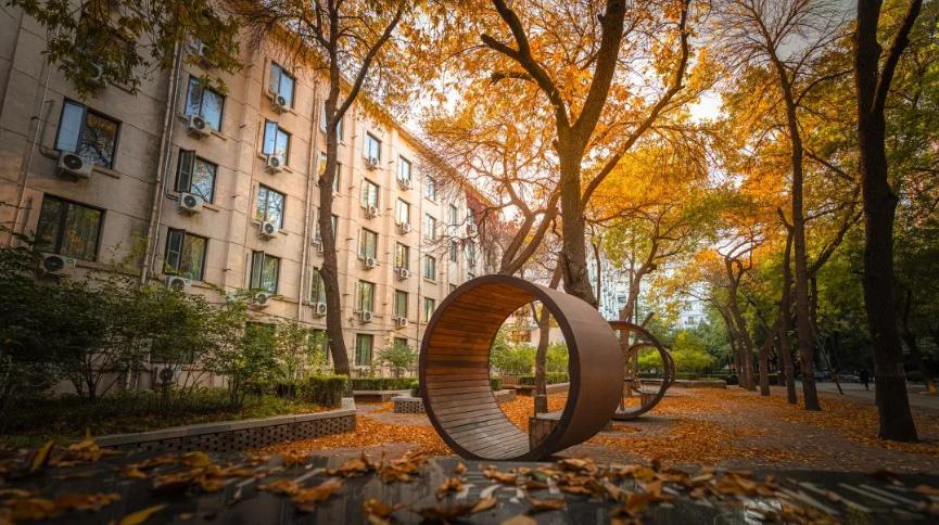 全球关注！我国这2本“硬核”期刊，冲进“世界前5名”，来自北京同一高校！