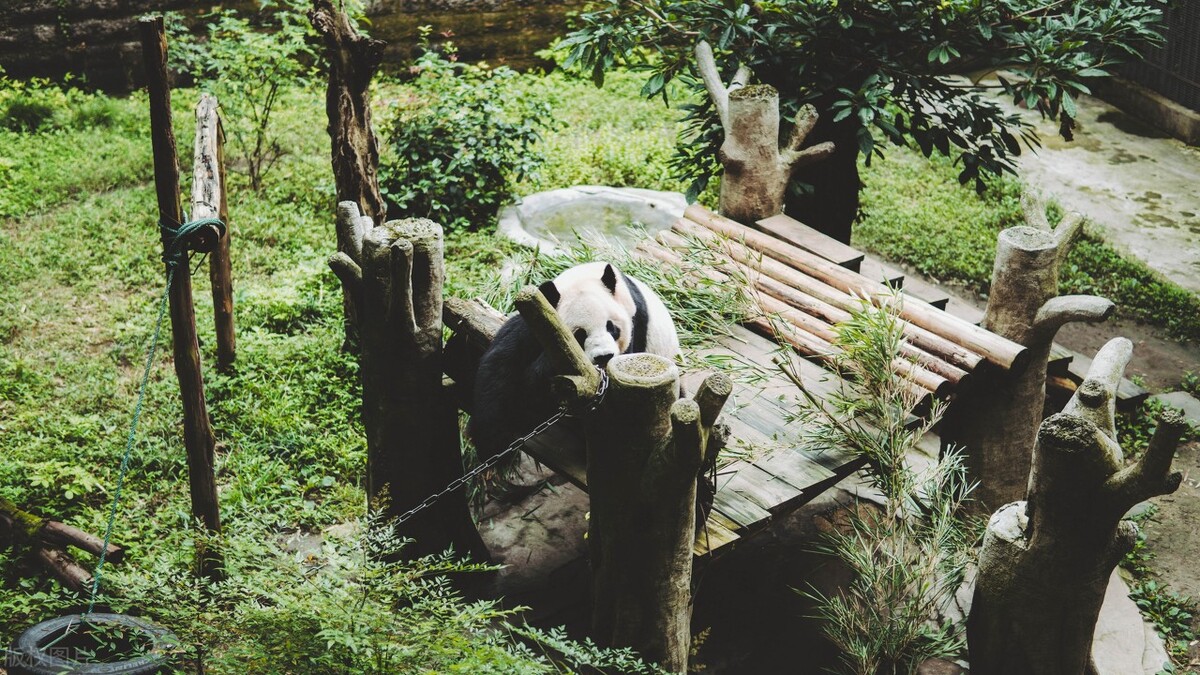 重庆北碚区旅游必去十大景点推荐,重庆江津区旅游必去十大景点推荐