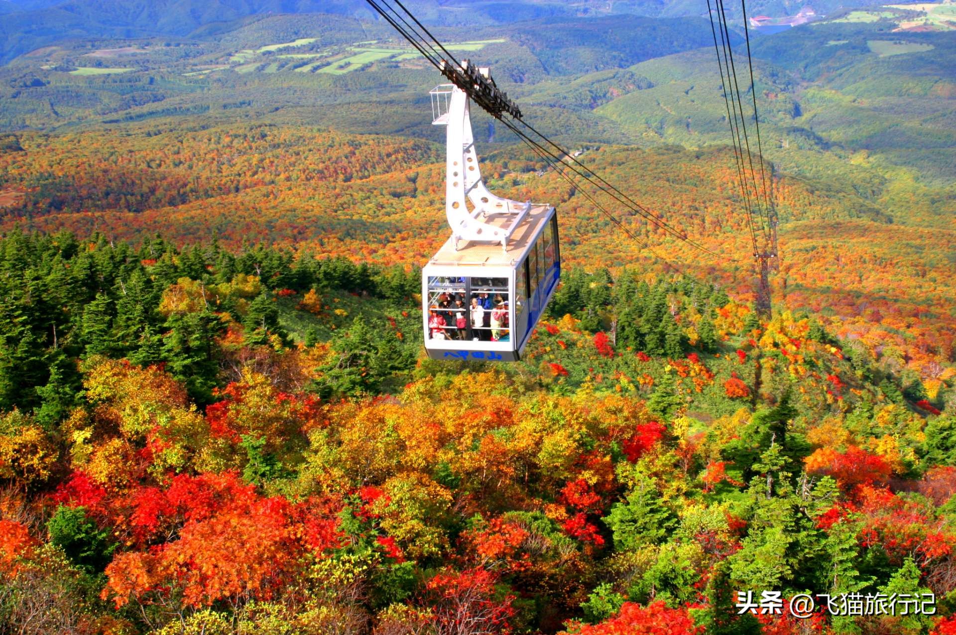 日本秋景哪里好,又来日本不可错过的6大风景