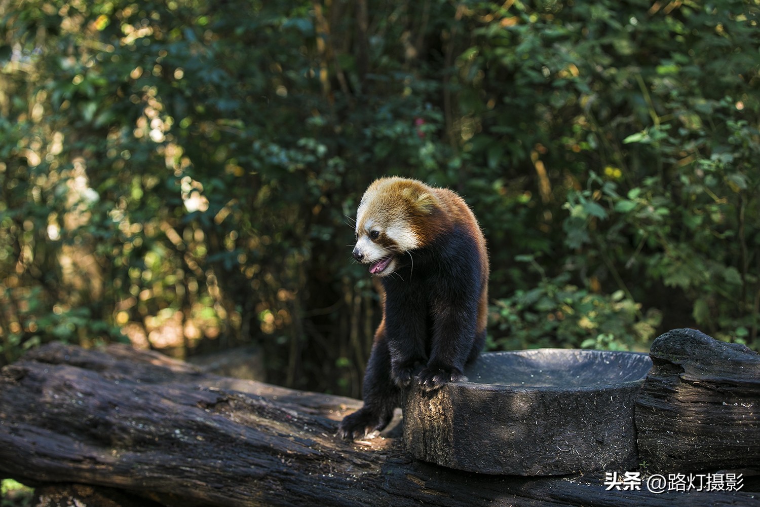 云南最适合养老城市普洱,中国的春城是哪个城市