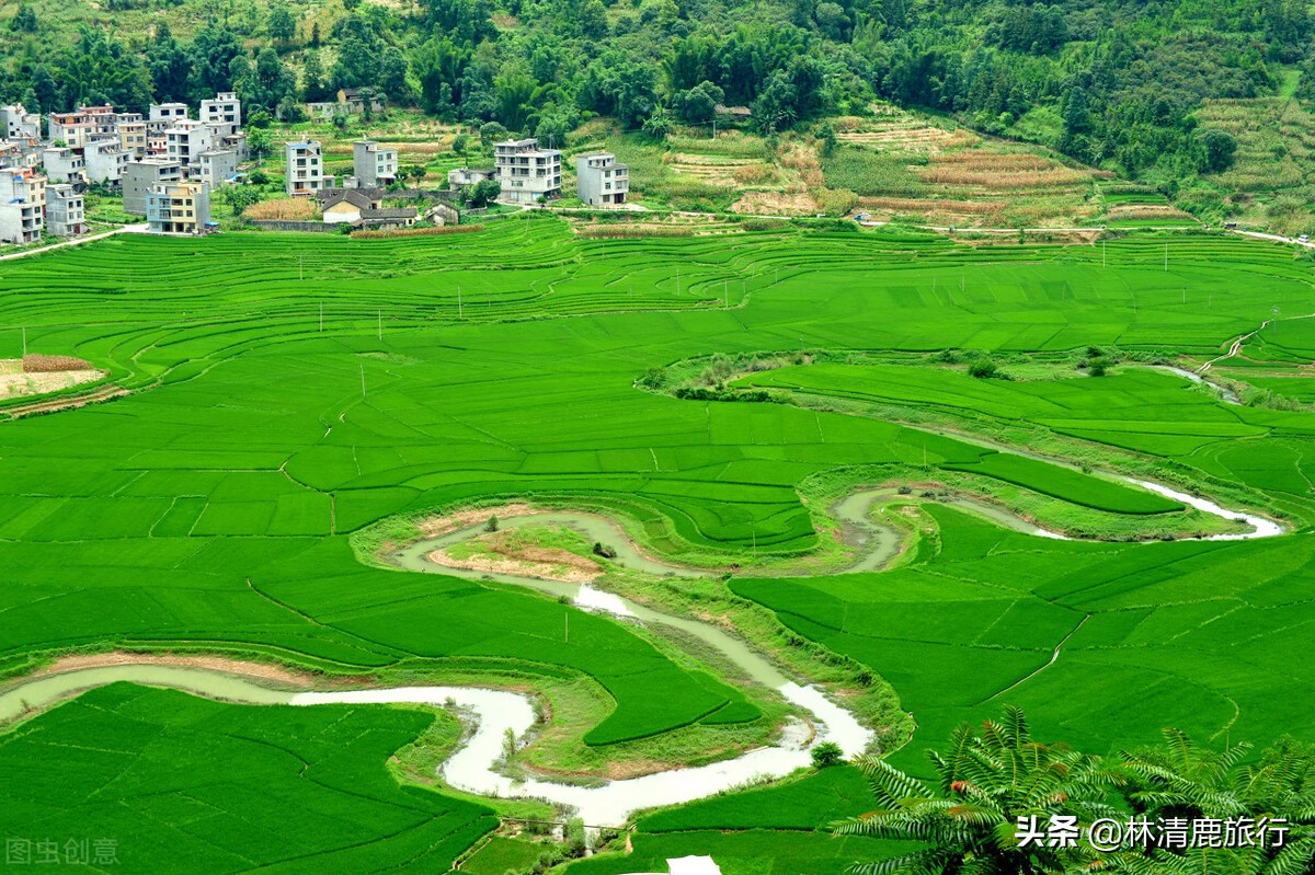 中国长寿之地,中国长寿养生体验地