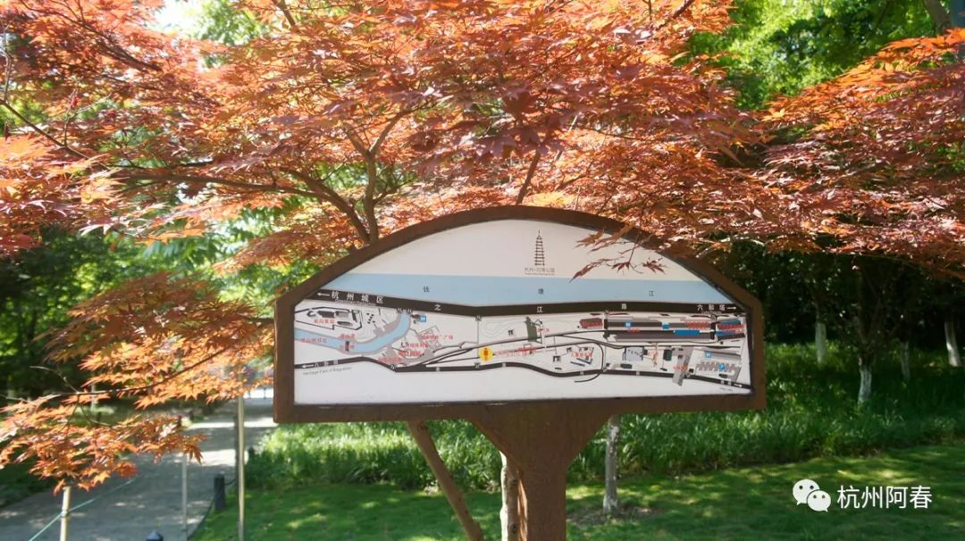 杭州人看钱塘江,逛逛浙江杭州白塔公园