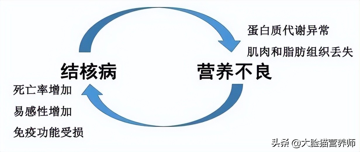 得了结核与家人吃饭需要注意什么,得了结核要注意哪些事项