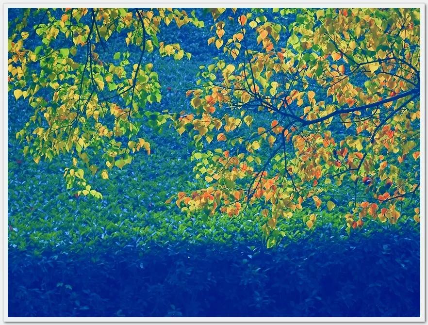 鑹插僵鏋勬垚浼樼浣滃搧,鑹插僵閫犲瀷鎽勫奖鏁欑▼