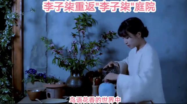 时隔一年重看“李子柒”庭院，才发现那个“人间仙境”并不...