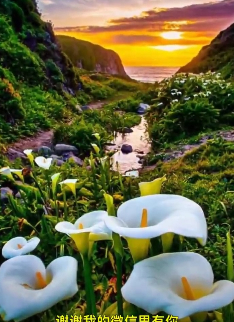 如何用三才五格取名字才能得高分,起名字学五行和五格的起名方法