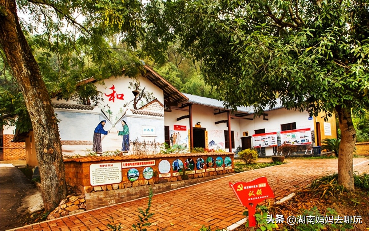 长沙近郊一日自驾游攻略,长沙大观园旅游攻略