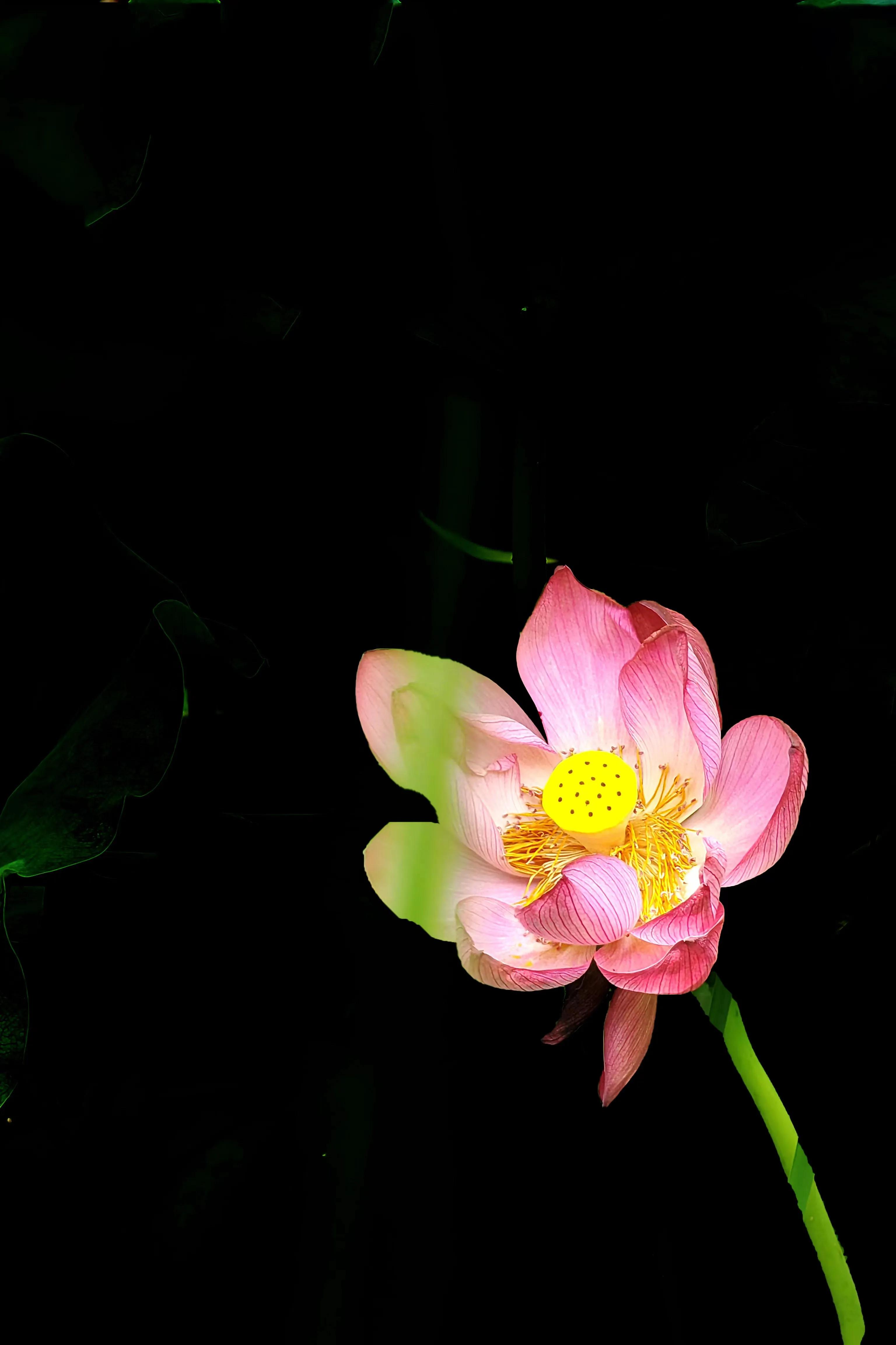 生财有道致富有门,致富有门路视频