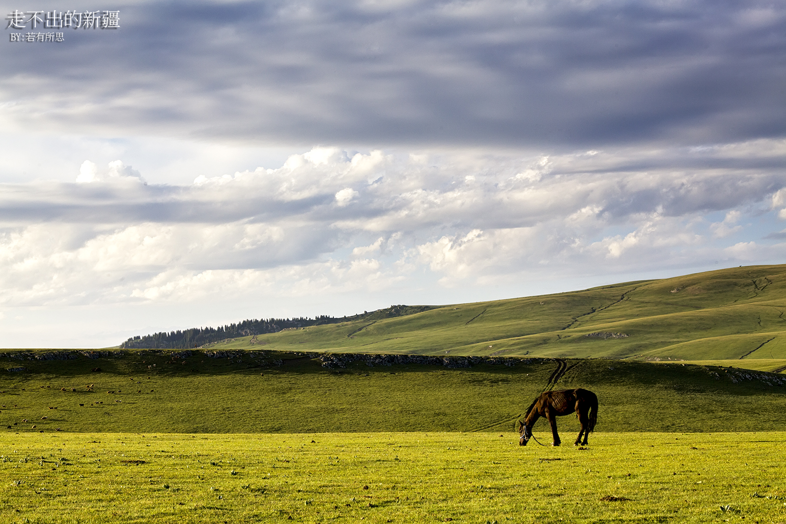 疆旅之行,疆游旅行攻略