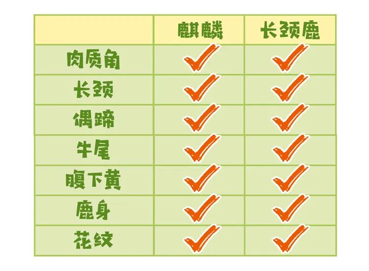 说好的中国神兽,怎么变成了外国进口的