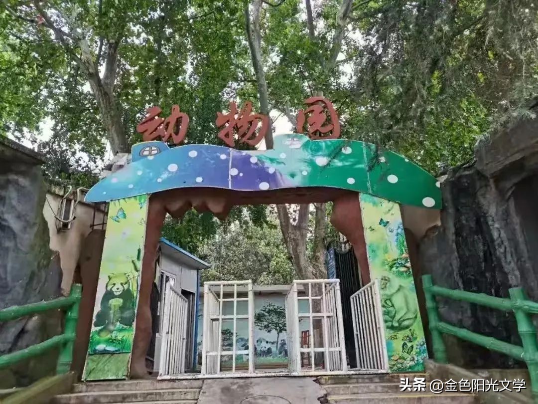 西峡体育馆最新消息,西峡体育