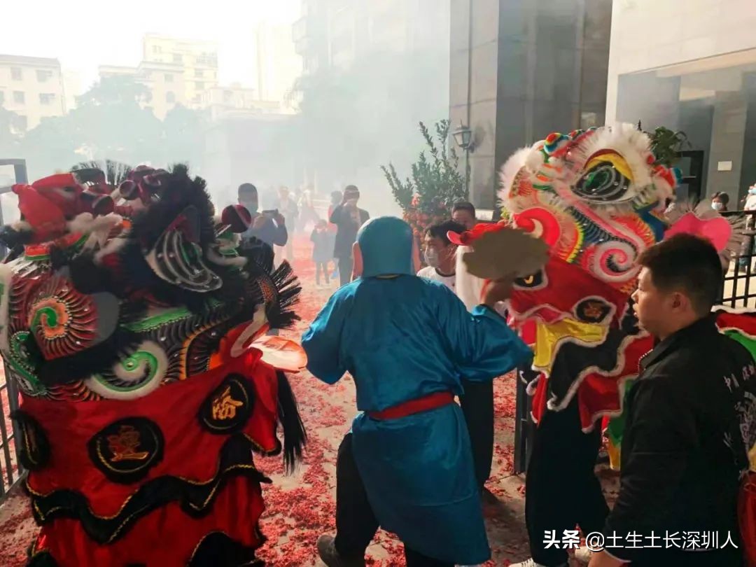 醒狮和瑞狮的区别在哪,醒狮的运动特点