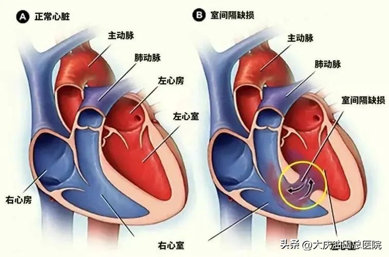 最全面的产检项目是什么,产检那么多的常见项目都必须做吗