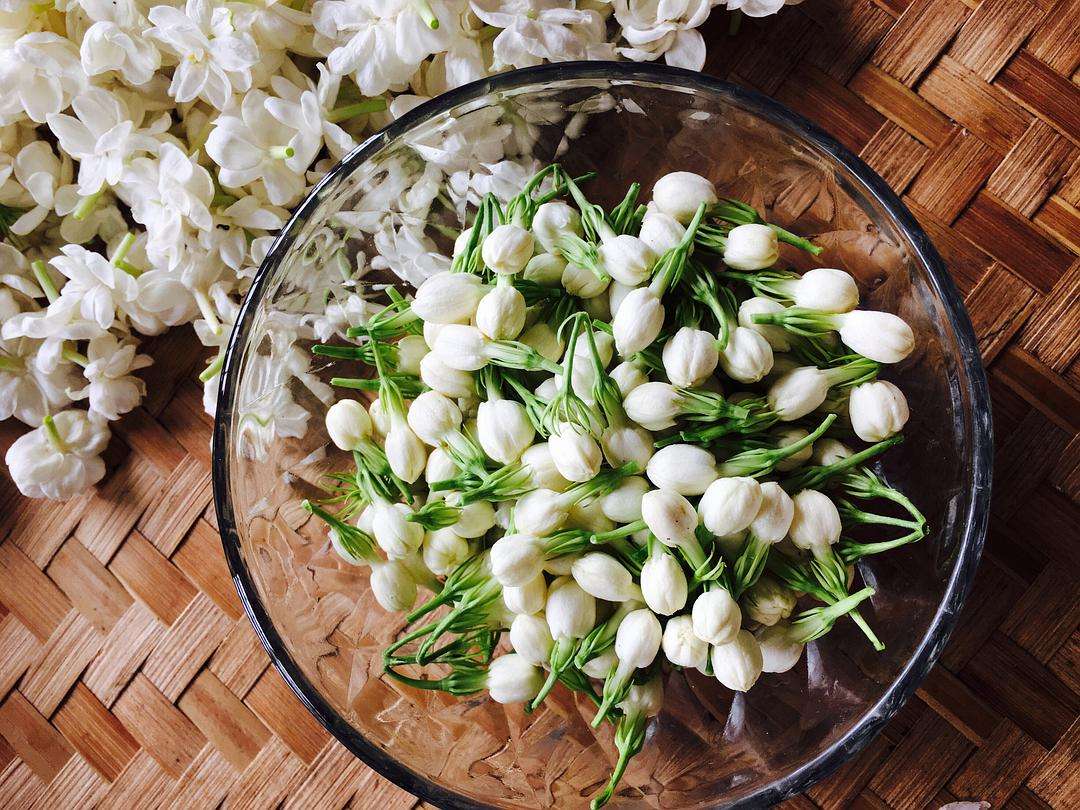 漂亮女人适合养什么花,适合盆栽的女人花