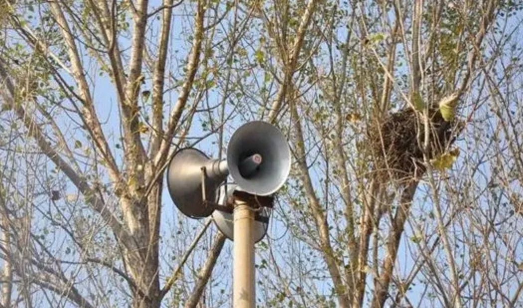 在北京派出所当民警怎么样,派出所当警察