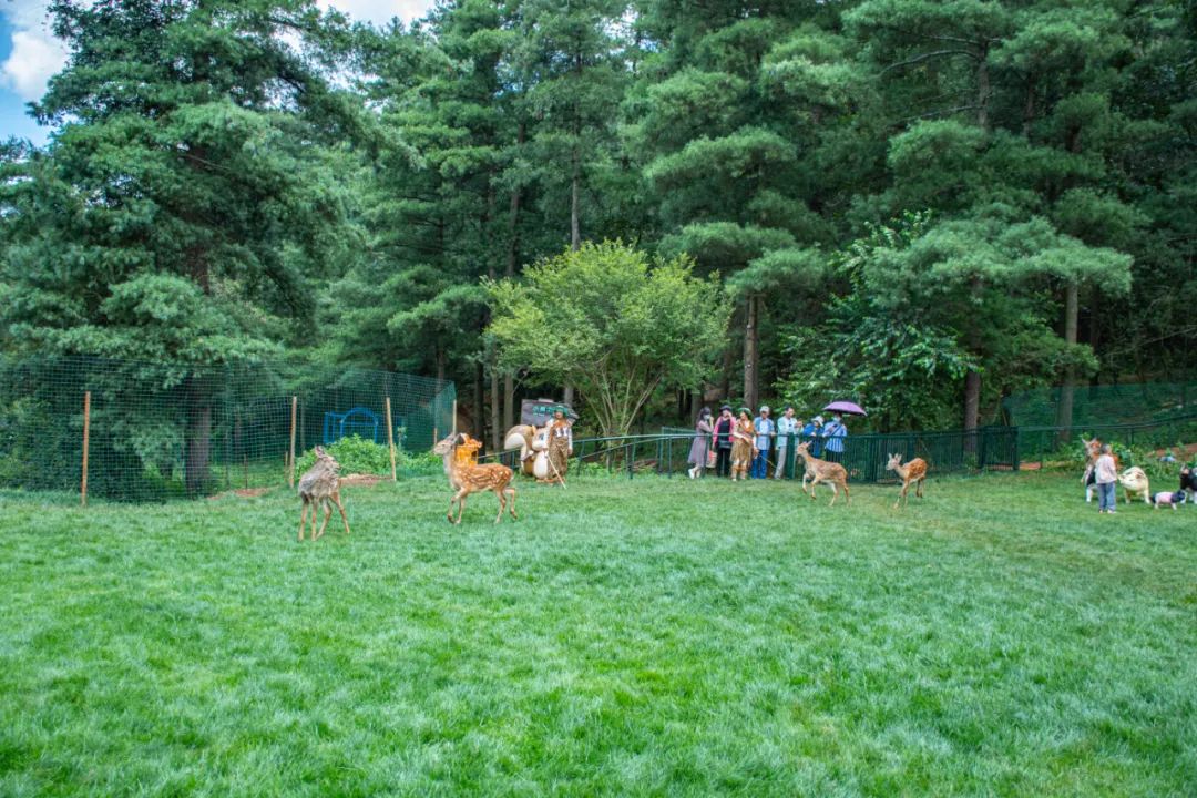 昆明旅游攻略一日游景点推荐理由,昆明旅游景点推荐一日游攻略图