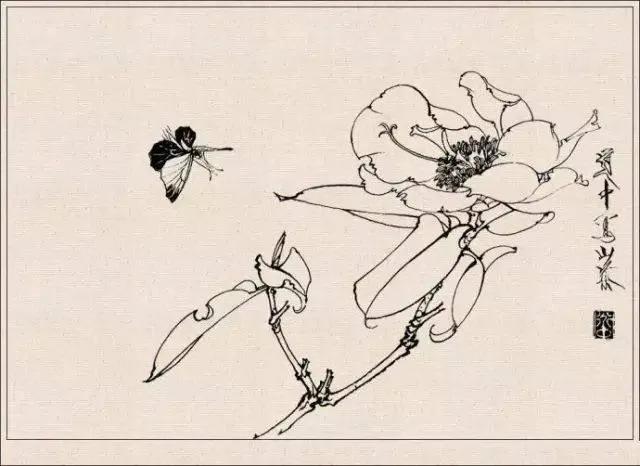 工笔草虫白描王道中,写意花鸟画草虫绘画过程分享