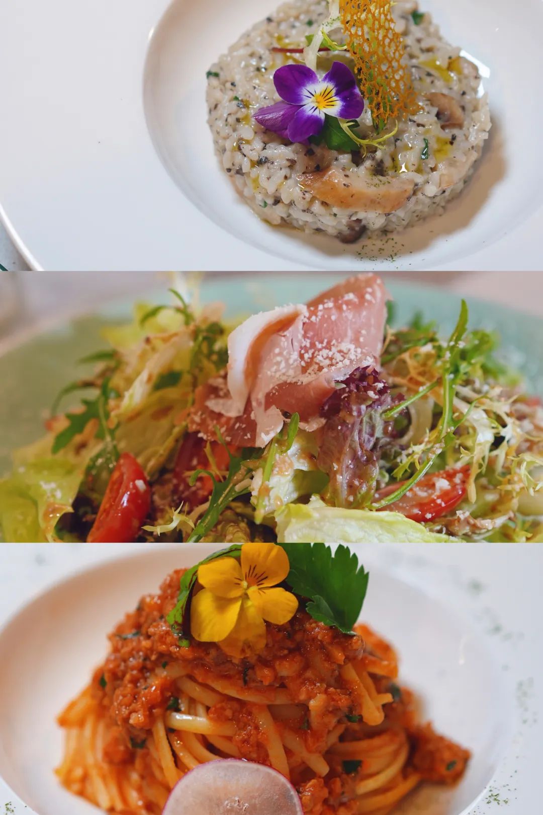 年味浓的古镇旅游推荐,6月份值得去的冷门水乡古镇