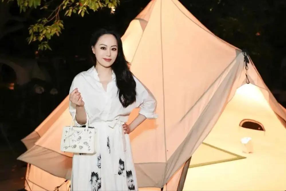 章小蕙亿万家产,章小蕙败光2位富翁老公家产视频