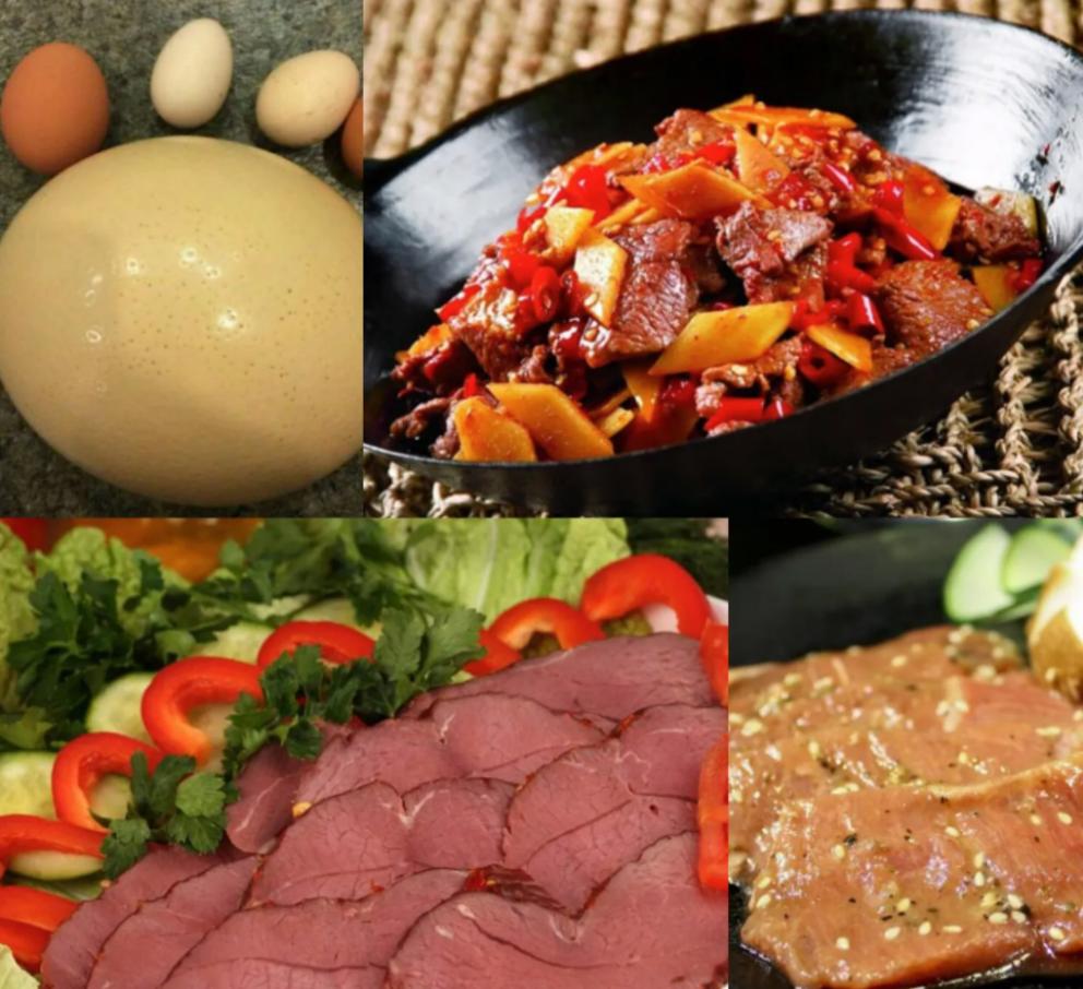 国外鸵鸟养殖前景如何,鸵鸟怎么养才能更好更赚钱