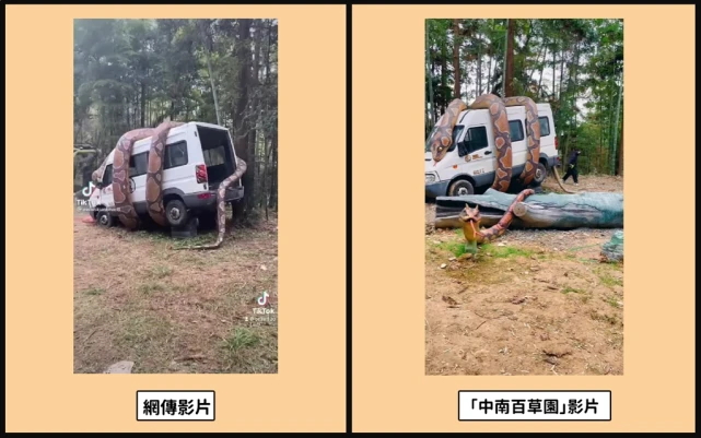 辟谣：台湾100米巨蟒缠绕货车，网友目击影片遭网络疯传