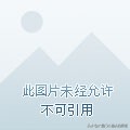 懂懂日记,懂懂日记全集完整版