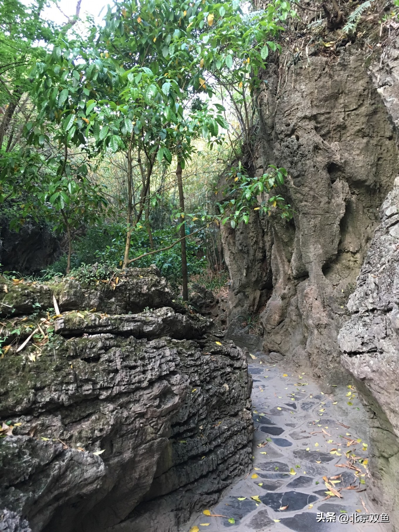 贵州黄果树最美的地方,贵州黄果树旅游攻略自由行