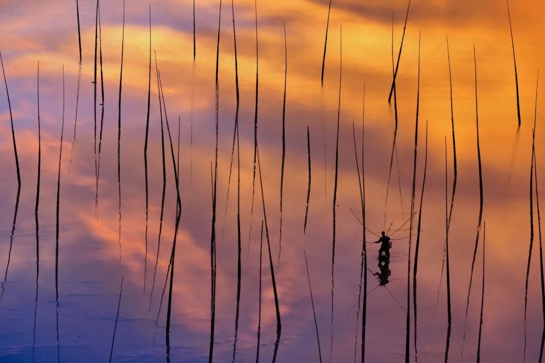 人生哲理100句诗词,有哲理有深度的诗句简短