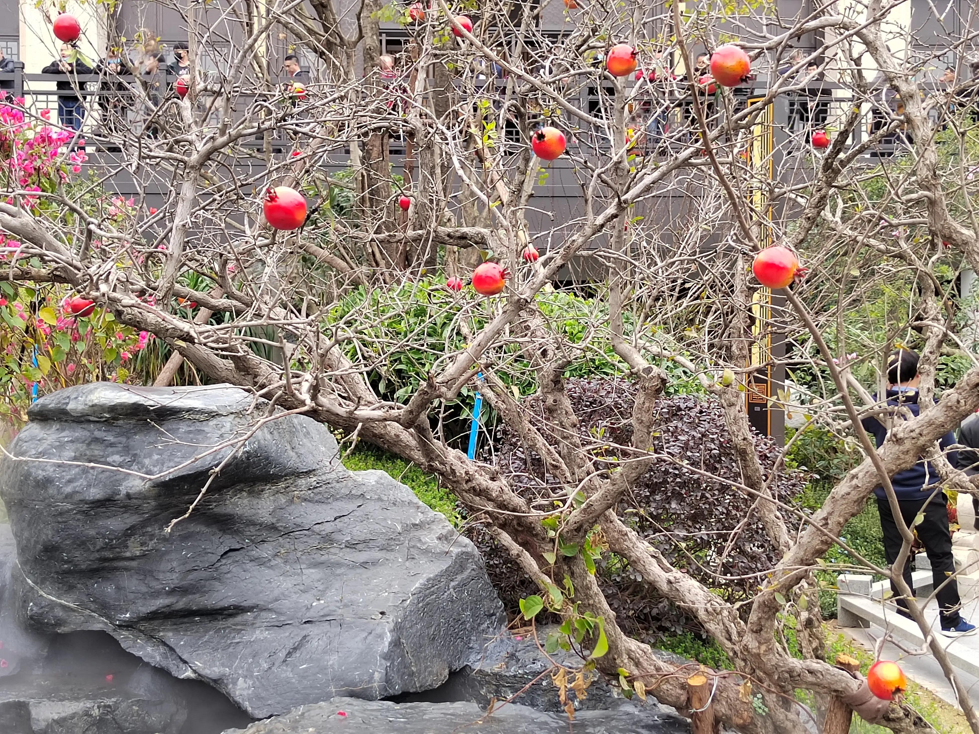 公园壹号秦巴故里,公园壹号建设年代