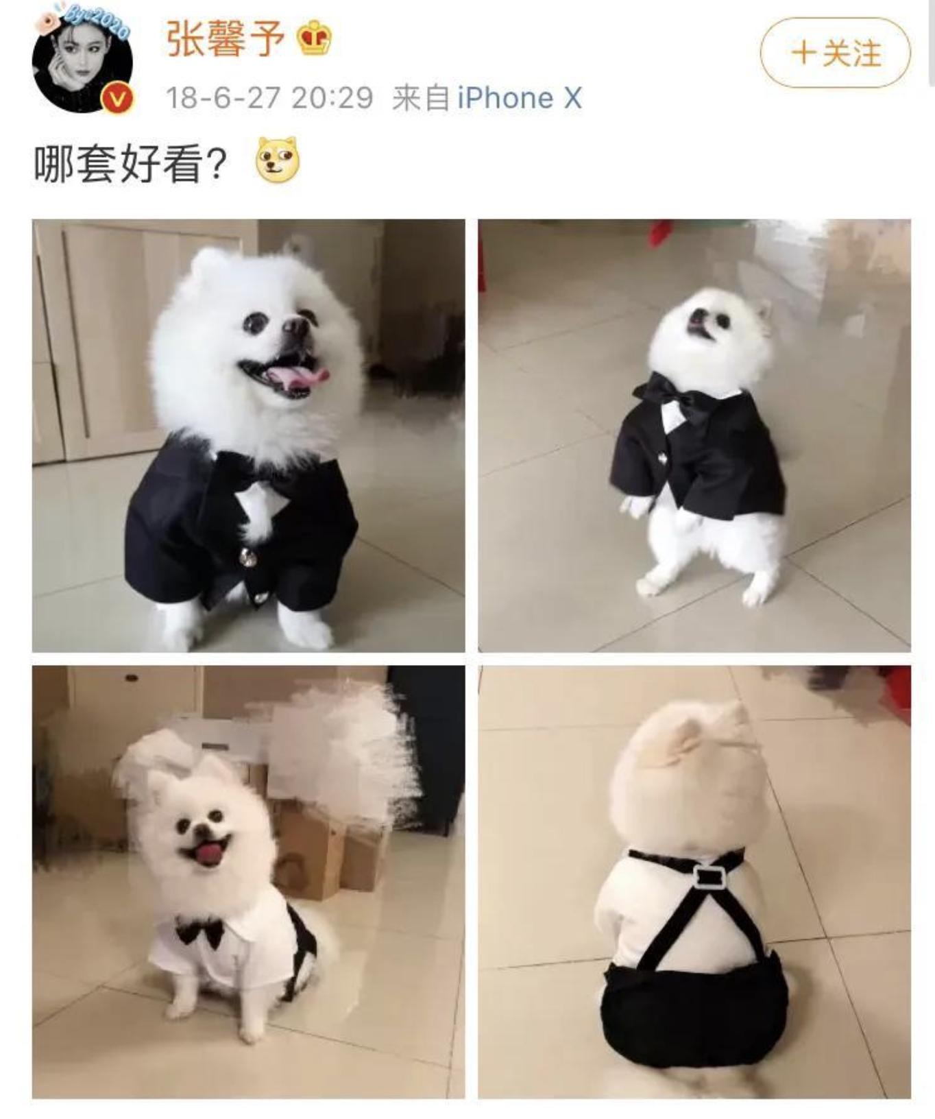 张馨予喜变军嫂两人这样秀恩爱,张馨予被爆昔日照片