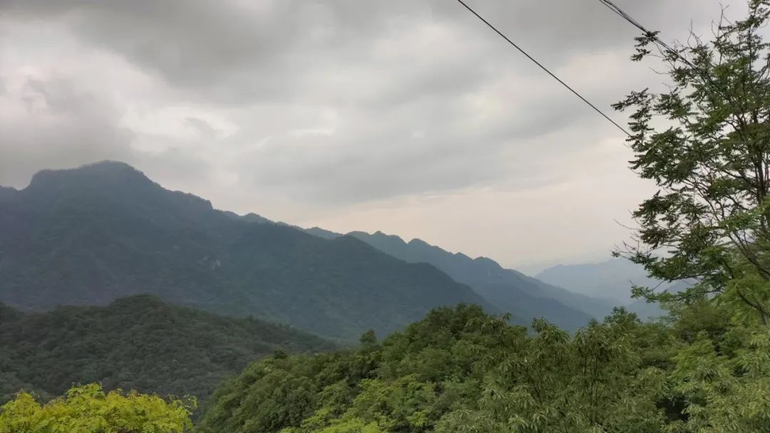 乐在其中——我与公众号“百姓文化视点”◎文/天涯