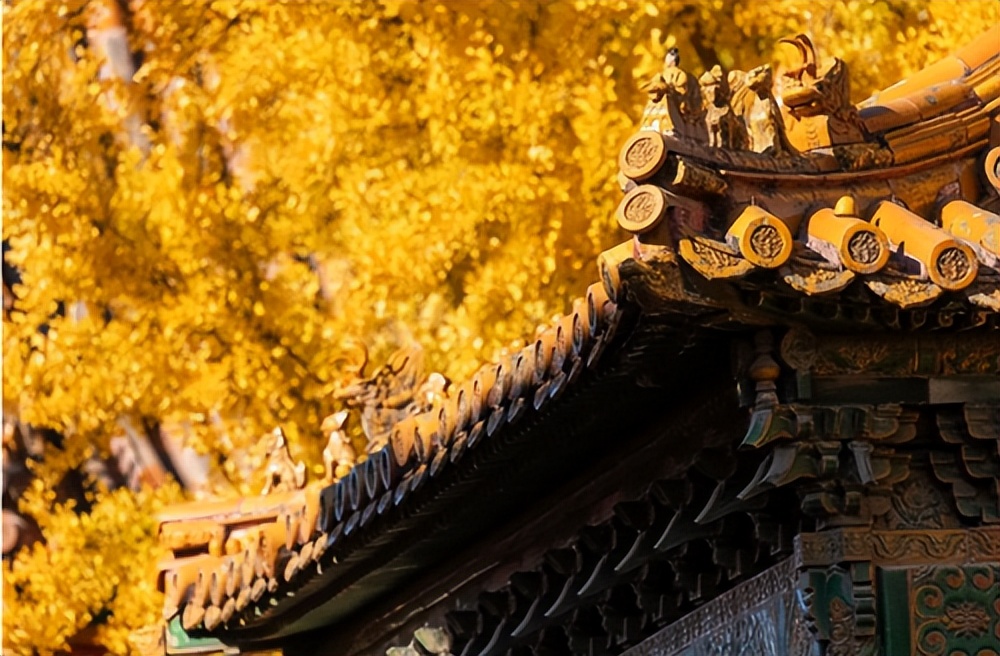 房车自驾游租赁平台私人,最好的房车营地app