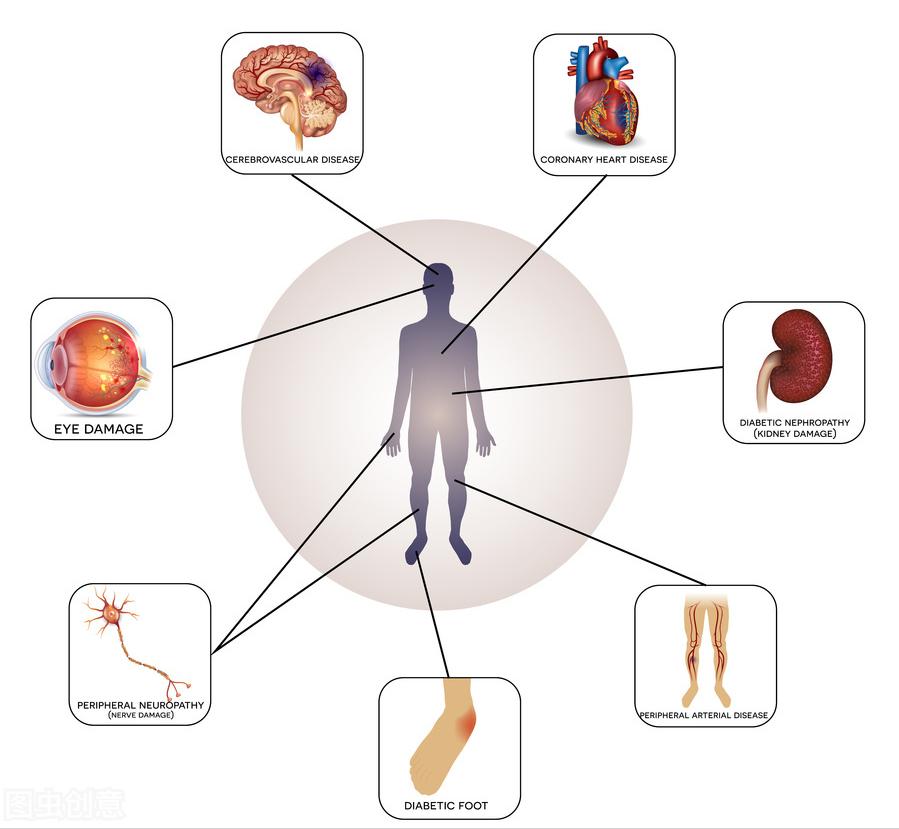 3药降糖扩血管，抗炎抗氧化，修复神经促进传导，改善四肢麻凉疼